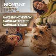 FRONTLINE Flea Tick Treatment for Dogs Petco