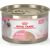 Rc kitten 36 on sale