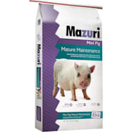 Mazuri mini top pig feed