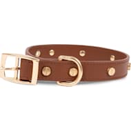 YOULY The Wanderer Cream Rope & Leather Dog Collar, Medium