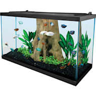 Fish Tanks: Fish Bowls, Aquarium Kits & Fish Tank Stands | Petco