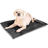 Petco replacement best sale pan