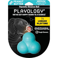 Playology pebble chew sales