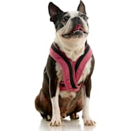 Gooby outlet harness pioneer