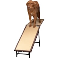 Petco folding dog ramp 2025