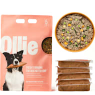 Ollie cat food store