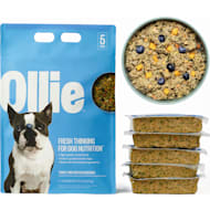 Ollie dog food pricing top