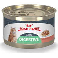 Buy Royal Canin Recovery Wet Dog & Cat Food, 195 gms (Pack of 4) - Same-Day  Shipping - Vetco Store