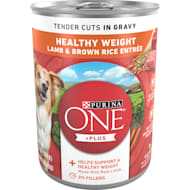 Petco purina one dog food sales
