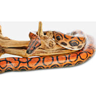 Petco reptiles sales