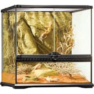Exo terra best sale terrarium petsmart