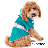 Good2go best sale dog jacket