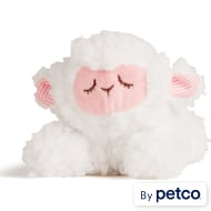 Leaps Bounds Pet Toys for Dogs Cats Petco