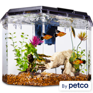 Imagitarium Up to 10 Gallon Fish Tanks Petco
