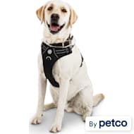 Good2Go Dog Harnesses Petco