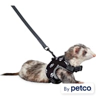 You Me Ferret Leashes Harnesses Carriers Petco