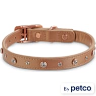 Bond Co Stylish Pet Collars Leashes Harnesses Apparel Petco