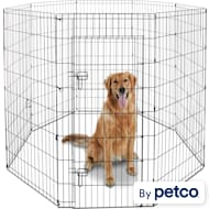 Animaze top training pads