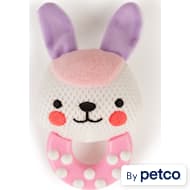 Petco leaps and online bounds
