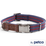 Reddy Dog Collars Leashes Harnesses Petco