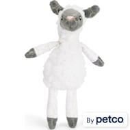 Petco leaps and online bounds