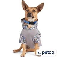 Skechers bobs for dogs harness store