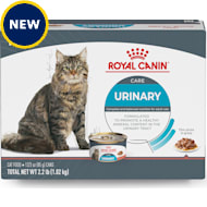 Royal canin best sale cat food petco