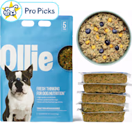 alton farm and home dog food nutrisource NutriSource Salmon Bites Grain Free Dog Treats - Phoenix, AZ