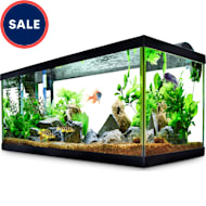Aqueon Standard Open-Glass Glass Aquarium Tank, 40 Gallon