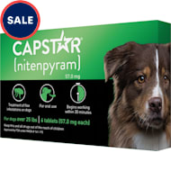 Capguard petco top