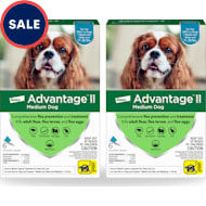 Advantage flea 2025 medication for dogs