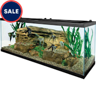 40-50 & Up Gallon Fish Tanks: Breeder Tanks & Aquariums | Petco