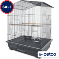 Petco new arrivals conure cage