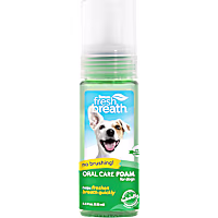 TropiClean Fresh Breath Oral Care Mint Foam for Pets