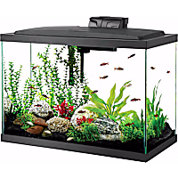 Aqueon LED Aquarium Kit 20 Gallon High