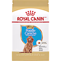 Royal Canin Breed Health Nutrition Poodle Puppy Dry Dog Food