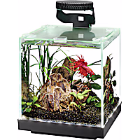 Aqueon Edgelit Cube Glass Aquarium