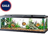 Aqueon Standard Open-Glass Glass Aquarium Tank