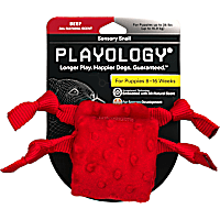 Playology Puppy Sensory Snail Beef Dog Toy