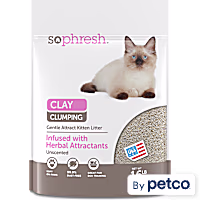 So Phresh Scoopable Gentle Attract Kitten & Picky Kitty Litter