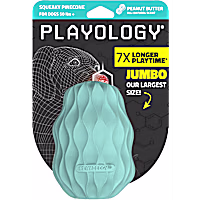 Playology Peanut Butter Scented Squeaky Pinecone Jumbo Dog Toy