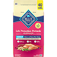 Blue Buffalo Life Protection Formula Made with Natural Ingredients, Salmon & Brown Rice Recipe Adult Dry Dog Food