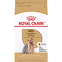 Royal Canin Breed Health Nutrition Yorkshire Terrier Adult Dry Dog Food
