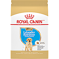 Royal Canin Breed Health Nutrition Labrador Retriever Puppy Dry Dog Food