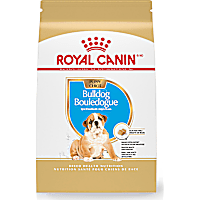 Royal Canin Breed Health Nutrition Bulldog Puppy Dry Dog Food
