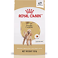 Royal Canin Breed Health Nutrition Poodle Adult Dry Dog Food