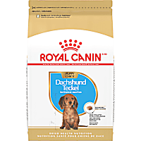 Royal Canin Breed Health Nutrition Dachshund Puppy Dry Dog Food
