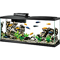 Aqueon 55 Gallon LED Aquarium Kit
