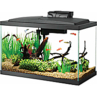 Aqueon LED 10 Gallon Aquarium Kit