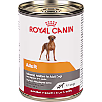 Royal Canin Canine Health Nutrition Adult In Gel Wet Dog Food